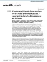 Phosphatidylinositol metabolism of the renal proximal tubule S3 segment is disturbed in response to diabetes