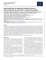 Initial pathology in aggressive pituitary tumours and carcinomas: 2b or not 2b?-that is the question