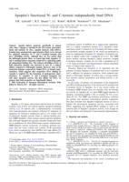 Apoptin's functional N- and C-termini independently bind DNA