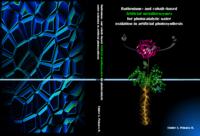 Ruthenium– and cobalt–based artificial metalloenzymes for photocatalytic water oxidation in artificial photosynthesis