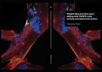 Shepherding precision gene editing with CRISPR-Cas9 variants and adenoviral vectors