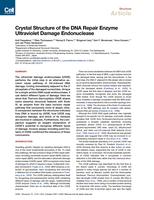 Crystal structure of the DNA repair enzyme ultraviolet damage endonuclease