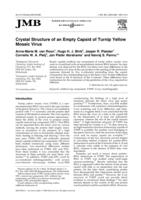 Crystal structure of an empty capsid of turnip yellow mosaic virus