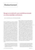 Burger en strafrecht