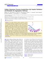 Cellular Polyamines Promote Amyloid-Beta (A beta) Peptide Fibrillation and Modulate the Aggregation Pathways