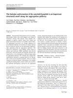 The hairpin conformation of the Amyloid β peptide is a common structural motif along the aggregation pathway