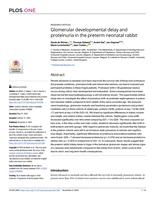 Glomerular developmental delay and proteinuria in the preterm neonatal rabbit