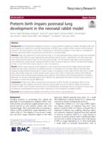 Preterm birth impairs postnatal lung development in the neonatal rabbit model