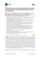 A broad-spectrum antiviral peptide blocks infection of viruses by binding to phosphatidylserine in the viral envelope