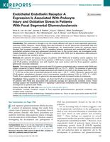 Endothelial endothelin receptor a expression is associated with podocyte injury and oxidative stress in patients with focal segmental glomerulosclerosis