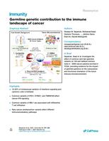 Germline genetic contribution to the immune landscape of cancer