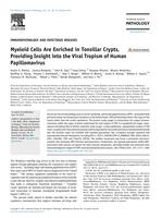 Myeloid cells are enriched in tonsillar crypts, providing insight into the viral tropism of human papillomavirus