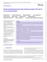 Small vessel disease lesion type and brain atrophy