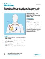 Stimulation of the beta-2-adrenergic receptor with salbutamol activates human brown adipose tissue