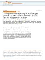 Androgen receptor signalling in macrophages promotes TREM-1-mediated prostate cancer cell line migration and invasion