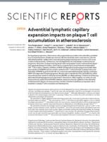 Adventitial lymphatic capillary expansion impacts on plaque T cell accumulation in atherosclerosis