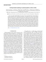 Stacking domain morphology in epitaxial graphene on silicon carbide