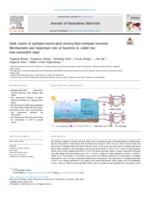 Dark repair of sunlight-inactivated tetracycline-resistant bacteria