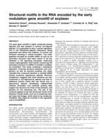 Structural motifs in the RNA encoded by the early nodulation gene enod40 of soybean