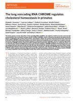 The long noncoding RNA CHROME regulates cholesterol homeostasis in primates