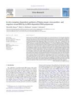 In vitro template-dependent synthesis of Pepino mosaic virus positive- and negative-strand RNA by its RNA-dependent RNA polymerase