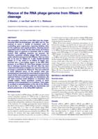 Rescue of the RNA phage genome from RNase III cleavage