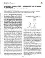 Evolutionary reconstruction of a hairpin deleted from the genome of an RNA virus