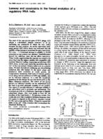 Leeway and constraints in the forced evolution of a regulatory RNA helix