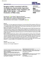 Imaging markers associated with the development of post-stroke depression and apathy