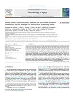 White matter hyperintensities mediate the association between blood-brain barrier leakage and information processing speed