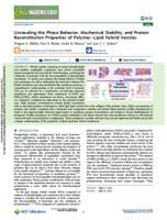 Unraveling the phase behavior, mechanical stability, and protein reconstitution properties of polymer–lipid hybrid vesicles