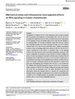 Mechanical stress and inflammation have opposite effects on Wnt signaling in human chondrocytes