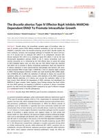 The Brucella abortus type IV effector BspA inhibits MARCH6-dependent ERAD to promote intracellular growth