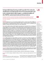 Interpretable deep learning model to predict the molecular classification of endometrial cancer from haematoxylin and eosin-stained whole-slide images: a combined analysis of the PORTEC randomised trials and clinical cohorts