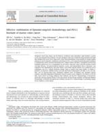 Effective combination of liposome-targeted chemotherapy and PD-L1 blockade of murine colon cancer