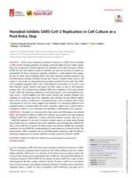 Honokiol inhibits SARS-CoV-2 replication in cell culture at a post-entry step