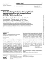 Impact of changes in human airway epithelial cellular composition and differentiation on SARS-CoV-2 infection biology