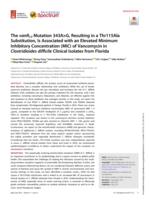 The vanR(Cd) mutation 343A > G, resulting in a Thr115Ala substitution, is associated with an elevated minimum inhibitory concentration (MIC) of vancomycin in Clostridioides difficile clinical isolates from Florida