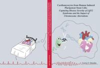 Cardiomyocytes from human induced pluripotent stem cells