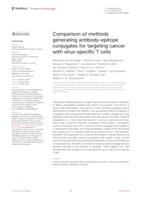 Comparison of methods generating antibody-epitope conjugates for targeting cancer with virus-specific T cells