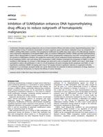 Inhibition of SUMOylation enhances DNA hypomethylating drug efficacy to reduce outgrowth of hematopoietic malignancies