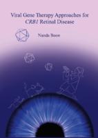 Viral gene therapy approaches for CRB1 retinal disease
