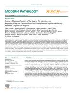 Primary mucinous tumors of the ovary