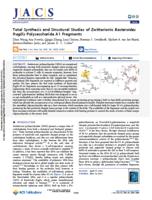 Total synthesis and structural studies of zwitterionic Bacteroides fragilis polysaccharide A1 fragments