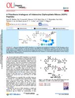 4-thioribose analogues of adenosine diphosphate ribose (ADPr) peptides