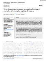 Three‐dimensional chromosome re‐modelling