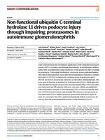 Non-functional ubiquitin C-terminal hydrolase L1 drives podocyte injury through impairing proteasomes in autoimmune glomerulonephritis