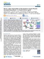 PGL-III, a rare intermediate of Mycobacterium leprae phenolic glycolipid biosynthesis, is a potent Mincle ligand