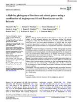 A Hyb-Seq phylogeny of Boechera and related genera using a combination of Angiosperms353 and Brassicaceae-specific bait sets