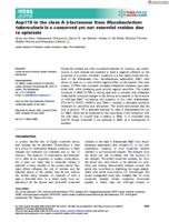 Asp179 in the class A β‐lactamase from Mycobacterium tuberculosis is a conserved yet not essential residue due to epistasis